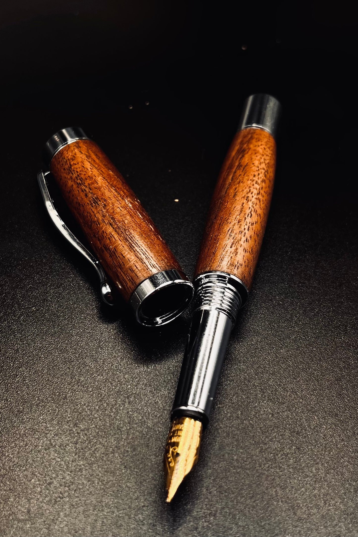 Luxury Fountain Pen