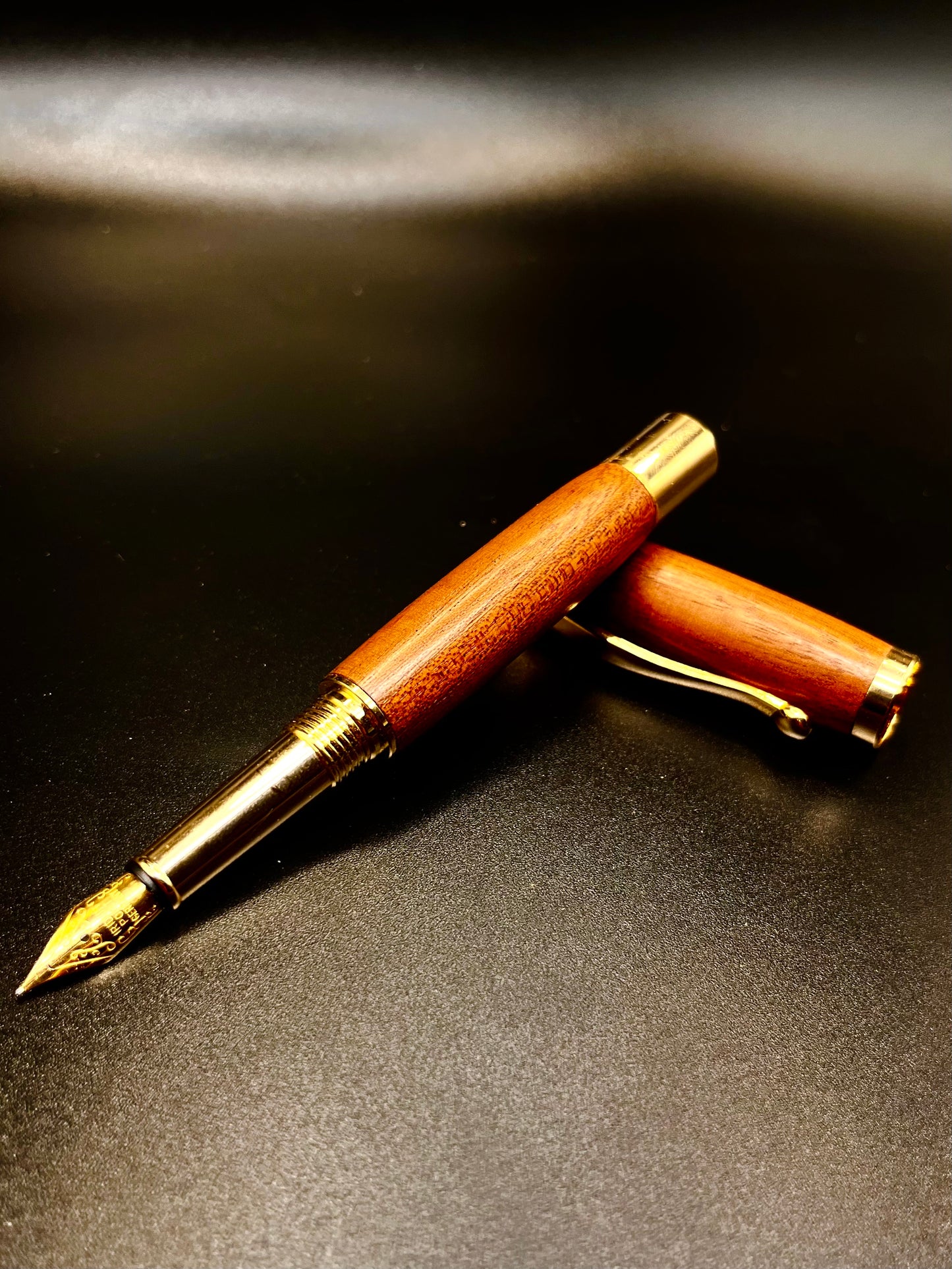 Luxury Fountain Pen
