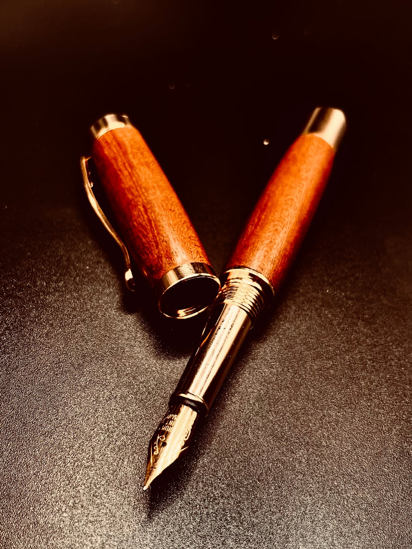 Luxury Fountain Pen